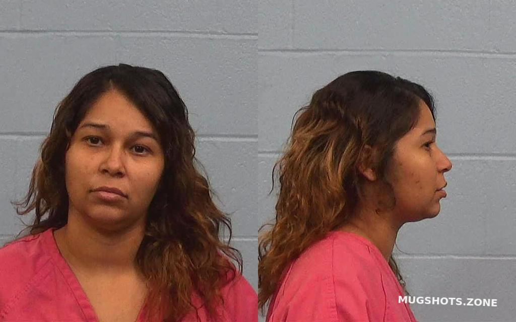 Lemaire Karina Lopez 03 04 2024 - Williamson County Mugshots Zone