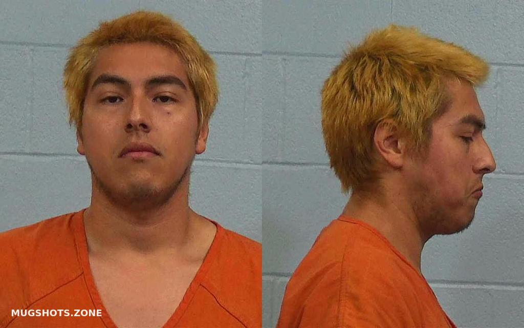 GUZMAN LUIS DUMAR 03/07/2024 - Williamson County Mugshots Zone