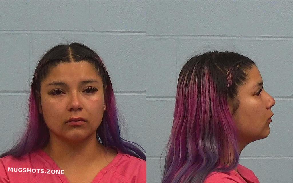 GUERRERO GABRIELLA RAEANN 05/25/2024 - Williamson County Mugshots Zone