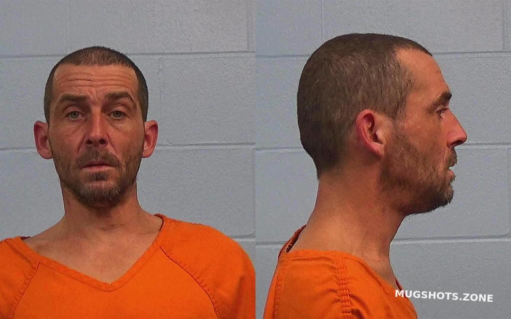 ROBINSON CHRIS RANDALL 12/12/2024 Williamson County Mugshots Zone