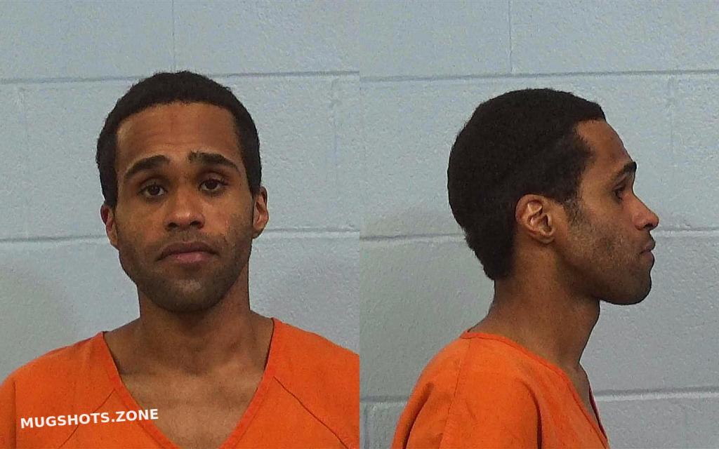 How to Find Busted Mugshots in Williamson County TX