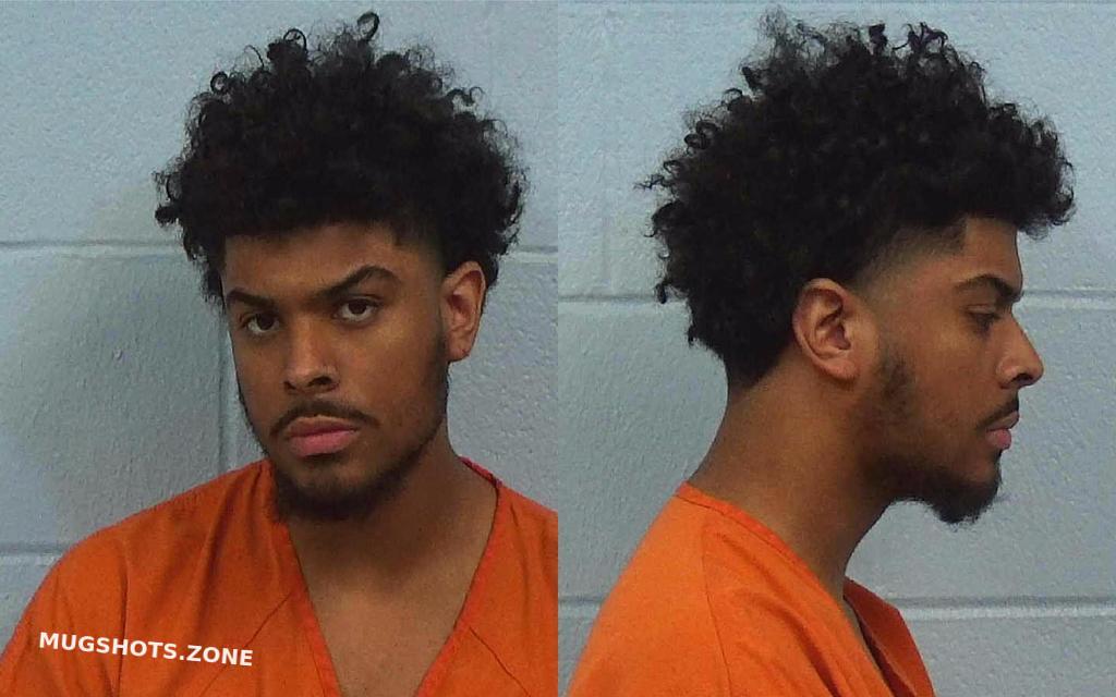 AVILES MICHAEL 04/14/2025 Williamson County Mugshots Zone