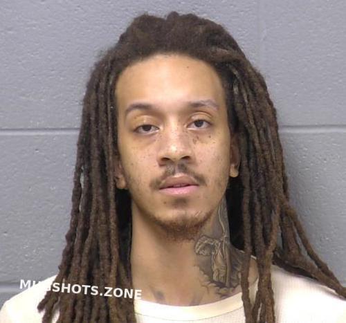 WILL COUNTY MUGSHOTS ZONE visual data 7