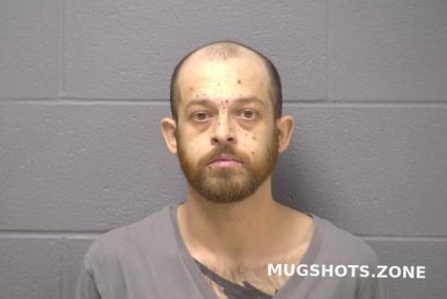 Will County Mugshotspittube Category