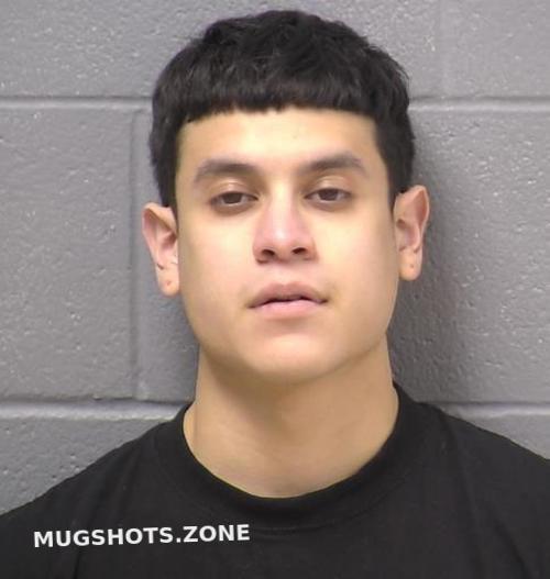 CLAROS SETH 02 04 2023 Will County Mugshots Zone Claros seth 02 04 2023 will county mugshots zone