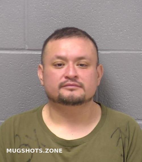 FLORES EDGAR S 03/26/2023 Will County Mugshots Zone