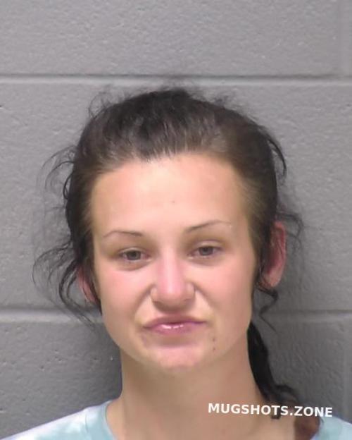 PRICE BRIDGET L 11/22/2023 - Will County Mugshots Zone