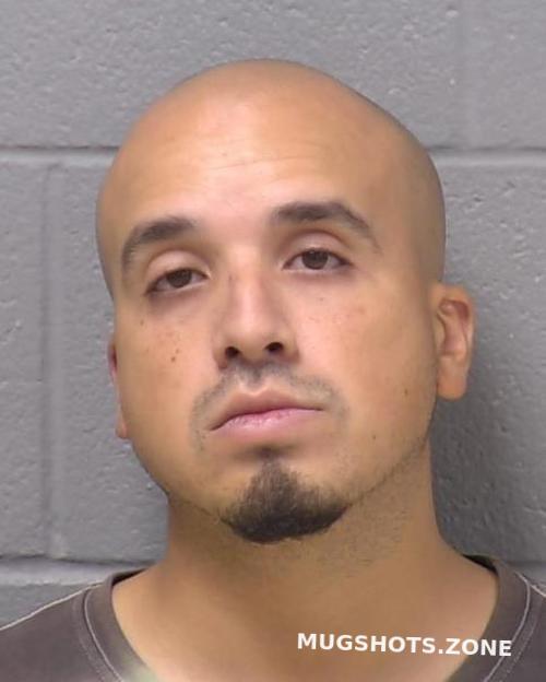 WILL COUNTY MUGSHOTS 2024 visual data 7