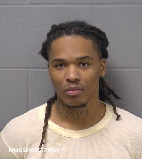 WILL COUNTY MUGSHOTS 2024 visual data 8