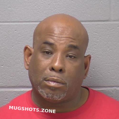 WILL COUNTY MUGSHOTS 2024 visual data 6