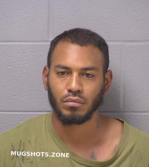 WILL COUNTY MUGSHOTS 2024 visual data 5