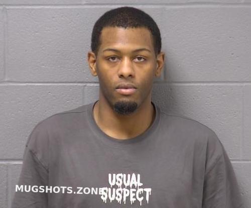 WILL COUNTY MUGSHOTS 2025 visual data 2