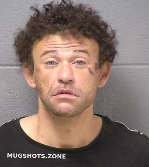 WILL COUNTY MUGSHOTS 2025 visual data 4