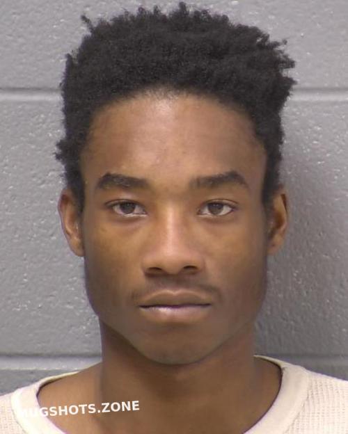 WILL COUNTY MUGSHOTS 2025 visual data 5