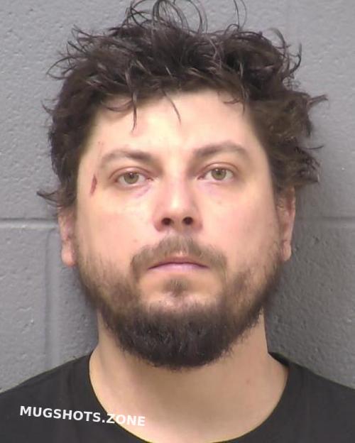 WILL COUNTY MUGSHOTS 2025 visual data 3