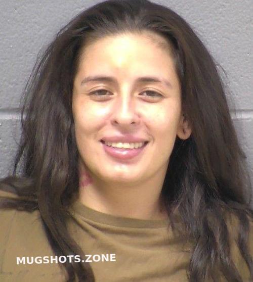 DOMINGUEZ-EVANS THERESA M 08/07/2025 - Will County Mugshots Zone