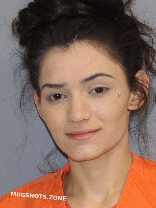 DANIELS KIRSTEN RENEE 05/23/2021 Wilson County Mugshots Zone