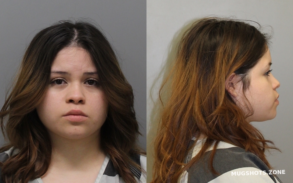 Cardenas Vanesa Aguilar 01 22 2023 Wise County Mugshots Zone