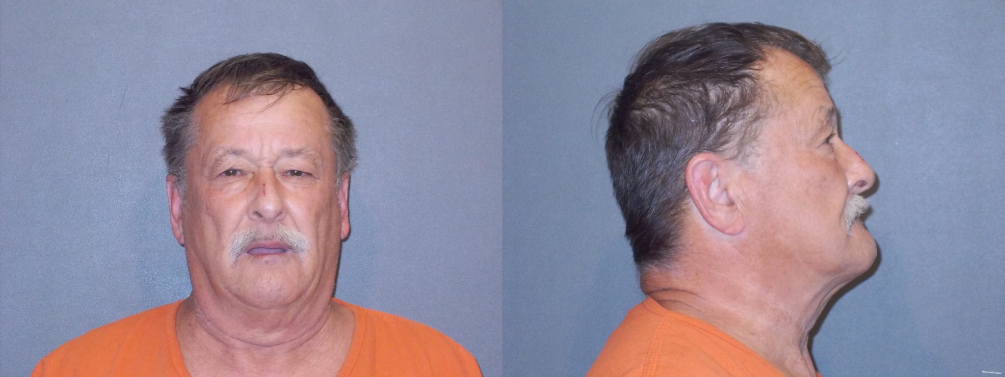 GREEN LARRY JOE 06/09/2021 Wood County Mugshots Zone